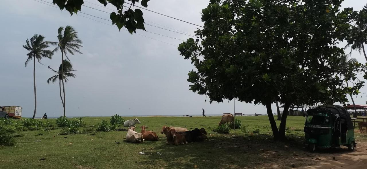 Gunne Fisherman House Weligama Zewnętrze zdjęcie
